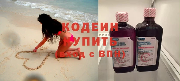 прущие грибы Балабаново