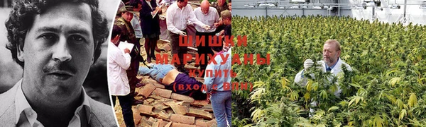 COCAINE Ступино