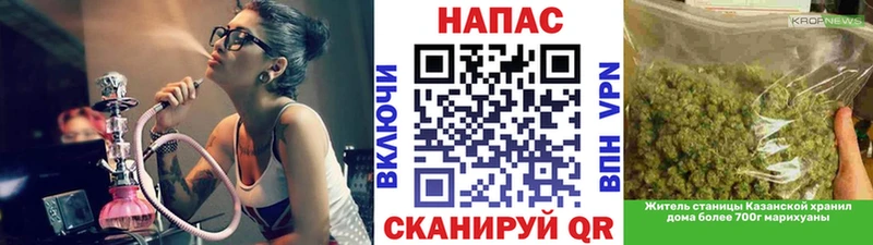 Купить где  Тогучин  Бошки Шишки VHQ 